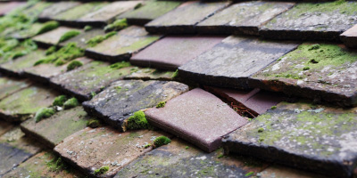 Newton roof repair costs